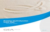 Protein Hydrolyzates from Fish · 2020-06-10 · Protein powder Protein powder is one of the most valuable substances which can be obtained from fish by- products. With GEA, you have