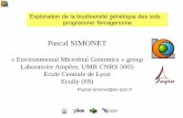 Pascal SIMONET - ARB Île-de-France · 2018-05-24 · •Microscopical Eukaryotes •Prokaryotes Whitman et al. 1998 PNAS, 95, 6578-6583.Prokaryotes: The unseen majority. 4-6 x 1030