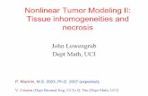 Nonlinear Tumor Modeling II: Tissue inhomogeneities and ...lowengrb/RESEARCH/...•Vascularization: •Apoptosis vs. mitosis •Mitosis vs. adhesion •Necrosis vs. mitosisGNNM=λ/λ