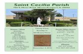 Saint Cecilia Parish - WordPress.com...2018/11/04  · Children and domestic violence. Domestic violence in families is often hidden from view and devastates its victims physically,