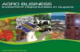 Magazine print - newgmc.comnewgmc.com/gmc_docs/brochures/AgriBusiness_investment_brochu… · GUYANA MARKETING CORPORATION 87 Robb & Alexander Streets, Lacytown, Georgetown, Guyana