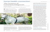 editorial@usdf.org Tcience of Lameness Diagnosis€¦ · Tameness evaluation consists of walking and trotting the horsfht line and then on a circle in both directionsTt- ... tant