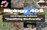 Systematics - askmrlloyd.files.wordpress.comTaxonomy: – Branch describing and naming new taxonomic groups (species) 2. Classification – Branch organizing information about organisms