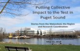 Putting Collective Impact to the Test in Puget Sound · 5/15/2018  · Promote cross-agency partnerships Reconnect people to their waterways Advance social equity & ... • Served