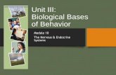 Unit III: Biological Bases of Behavior · Biological Bases of Behavior Module 10 The Nervous & Endocrine Systems. The Nervous System 10-1. The Nervous System 10-1 Fig. 10.1 p. 87.