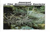 Journal The Bromeliad Societyjournal.bsi.org/PDF/V40/BSI_V40(4).pdf · A quick letter, followed by a phone call proved my apprehension unwarranted: to my delight, the charming voice