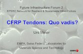 CFRP Tendons: Quo vadis? 03 - Urs Meier (web).pdf2 CFRP cables in bottom chord each 91 wires Sustained stress 1350 MPa. Dintelhavenverkeersbrug 1999 Dutch Ministry of Transport and
