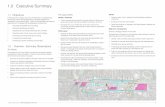 1.0 Executive Summaryarchive.lithgow.nsw.gov.au/revitalisation/1-RAP-exec... · 2016-01-19 · Lithgow Town Centre CBD Revitalisation Action Plan 4 1.0 Executive Summary 1.1 objectives