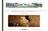 AUSTRALIA: TASMANIA PRE-TOUR EXTENSION AND EAST …wildlifeandnaturedestinations.com/wp-content/... · 6 | T R I P R E P O R T Australia: Tasmania and the East Coast 2015 info@birdingecotours.com