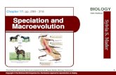 BIOLOGY Chapter 17: 10th Edition Speciation and Macroevolution · Scientific name of the dinosaur, Tyrannosaurus rex, means “tyrant-lizard king.” ...