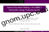 Optimal Day-Ahead Bidding in the MIBEL's ... - heredia/files/EEM10_gnom.pdf · Introduction Optimization Model Case Study Conclusions Optimal Day-Ahead Bidding in the MIBEL’s Multimarket