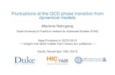 Marlene Nahrgang - yukawa.kyoto-u.ac.jp€¦ · QCD phase diagram Understanding the phase diagram of the strong interaction, QCD, is extremely difﬁcult, because there is no global