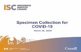 Specimen Collection for COVID-19 - fntn.ca COVID-19... · 2020-03-26 · 3 COVID-19 Testing –Specimen Collection A single upper respiratory tract specimen is acceptable for COVID-19