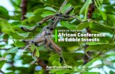 African onference on dible nsects Agrifose · Paul Nampala 0900-0930 Keynote speaker – Prof Eric Mark Benbow, Associate Professor of Ento-mology, Michigan State University. Insect