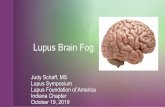 Lupus Brain FogTreatment for Brain Fog There's no absolute cure for lupus fog Although no drug therapy exists to relieve the symptoms of lupus fog, several techniques can help …