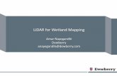 LiDAR for Wetland Mappingaswm/pdf_lib/nayegandhi.pdf · 2015-01-10 · LiDAR for wetland mapping? • What information do LiDAR data provide to delineate wetland vegetation communities?