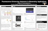 Fluorescence Enhancing Aptamers in Biosensing Applications...Fluorescence Enhancing Aptamers in Biosensing Applications Volition La, Thorsten Dieckmann University of Waterloo, 200