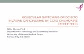MOLECULAR SWITCHING OF DCIS TO INVASIVE CARCINOMAS … · 2014-06-18 · Normal Hyperplasia DCIS IDC Metastasis Time (Decades in most cases) • Ductal carcinoma in situ (DCIS) is