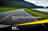 Disclosure effectiveness: What company executives, investors … · 2014-11-25 · Disclosure effectiveness: What investors, company executives and other stakeholders are saying |