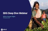 SDG Deep Dive Webinar - Business and Human Rights Gateway · 2018 SDG Deep Dive Webinar Series has been part of our ongoing effort to advance the conversation and business understanding