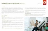 Energy Efficiency Fact Sheet: Lighting · 2018-04-17 · • resource conservation from avoided maintenance and repairs; and • avoided emissions, including greenhouse gases, through