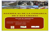 DIAGNOSI AMBIENTAL PARTICIPATIVA Taller... · 2012-01-26 · Agenda 21 de la comarca de l’Alt Urgell Diagnosi Ambiental Participativa 4 1. Introducció El dia 10 de novembre s’ha