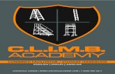 High Performance Ladders | Louisville Ladder - COMBINED ......taught ladder safety program is well worth the effort. It can not only prevent human suffering, it can also provide economic