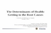 The Determinants of Health: Getting to the Root Causes · Deaths: Final Data for 2007. National Vital Statistics Reports, Vol 58, Number 19 National Vital Statistics Reports, Vol