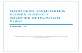 NCPA 2020 Wildfire Mitigation Plan · The objective of this WMP is to reduce the risk of wildfires that could be ignited or propagated by ... 3.A. UTILITY GOVERNANCE STRUCTURE NCPA