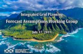 Integrated Grid Planning Forecast Assumptions Working Group...– Market Analysis, Individual projects – Customer Service – Trending ... – Short-term hurdles (e.g. circuit study,