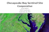 Sarah Wilkins CBSSC Coordinator September 29, 2015 · Chesapeake Bay Sentinel Site Cooperative Overview - presentation to the CPT Sept 2015 Author: Chesapeake Bay Sentinal Site Cooperative