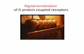 Signal termination of G protein coupled receptors 2018 english… · Signaltermination of G protein coupled receptors (GPCR) - signal termination of this receptor system is very well