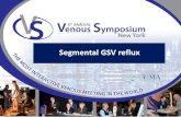 Segmental GSV refluxvenous-symposium.com/images/VS6- Case December_January.pdf · The patient has segmental reflux of the GSV and reflux in calf tributaries and . reticular veins.