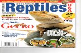 » Amphibian Care...Red-eyes can be sensitive pets, so it's best to have a little experience keeping other frog species first. Starting with captive- bred individuals is the way to