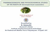 PHARMACOGNOSTIC AND PHYSICOCHEMICAL STUDIES OF ……•Pharmacognostic studies ensures plant identity, lays down standardization parameters which will help and prevents adulteration.