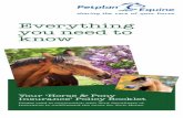 Everything you need to know - Pet Insurance New …...Everything you need to know Your ‘Horse & Pony Insurance’ Policy Booklet Please read in conjunction with Your Certificate