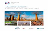 THE TRADE IN WILDLIFE - International Trade Centre · THE TRADE IN WILDLIFE iv SC-15-311.E 4.3.1. Natural vs synthetic 19 4.3.2. Wild sourced vs intensively managed 20 4.3.3. Abundant