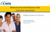 Medicare Ground Ambulance Data Collection Instrument ... Feb 06, 2020 آ  Medicare Ground Ambulance Data