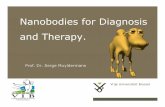 Nanobodies for Diagnosis and Therapy. - Pigtroppigtrop.cirad.fr/content/download/9836/50962/file... · 2012-08-14 · Nanobodies are just perfect . Nanobodies for Diagnosis and Therapy