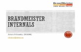 BrandMeister · § Apache Web Server + PHP for REST APIs § BrandMeister DMR Server § CallDirector (BrandMeisterNetwork Dispatcher) § APIs and Supplementary Tools by PD0ZRY *1 -