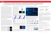 Evaluation of Cellular Senescence through Fluorescence ... · Thermo Fisher Scientific • 5781 Van Allen Way • Carlsbad, CA 92008 • thermofisher.com 100bp 200bp 300bp 400bp 500bp