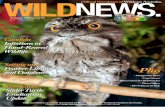 Official Newsletter of Wildcare Australia. wildnews. · Candidiasis is an infection caused by Can-dida fungi (a yeast), especially Candida albi-cans. These fungi are found almost