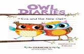 Eva and the New OwlEva and the new owl / Rebecca Elliott. - First edition. pages cm. - (Owl diaries ; 4) Summary: Eva wants to be friends with Hailey, the new owl in her class, but