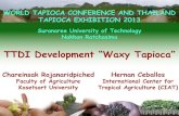 TTDI Development “Waxy Tapioca”worldtapiocaconference.com/speaker/present/1.pdf · 2015-03-18 · Maize, and Rice with Those of a Novel Waxy Cassava Starch under Thermal, Chemical,