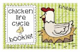 Chicken Life Cycle Booklet - pearlandisd.org · Title: Chicken Life Cycle Booklet Author: First Grade Schoolhouse Created Date: 3/28/2013 3:42:38 AM