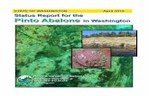 species’ - Washington Department of Fish and Wildlife · 2019-12-19 · April 2019 1 Washington Department of Fish and Wildlife Figure 1: Pinto Abalone (Photo by J. Bouma) INTRODUCTION