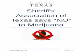 Sheriffs’ Association of Texas says “NO” to MarijuanaTexas Sheriffs say “NO” Page | 8 Introduction: In opposition to changing Texas HB 184, which decriminalizes marijuana,