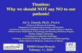 Tinnitus: Why we should NOT say NO to our patients!...tinnitus patients about tinnitus treatment (Danesh, 2002 Tinnitus study) •“Go and live with it”! •“Nothing can be done”!