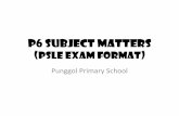 P6 SUBJECT MATTERS · (40 marks) Pupils are required to do two pieces of writing : 1) Situational Writing (10 marks) •write a short functional piece, e.g. a letter, an email to
