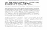 The APC tumor suppressor counteracts -catenin activation ...genesdev.cshlp.org/content/20/5/586.full.pdf · The APC tumor suppressor counteracts-catenin activation and H3K4 methylation